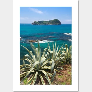 Islet and coastal vegetation Posters and Art